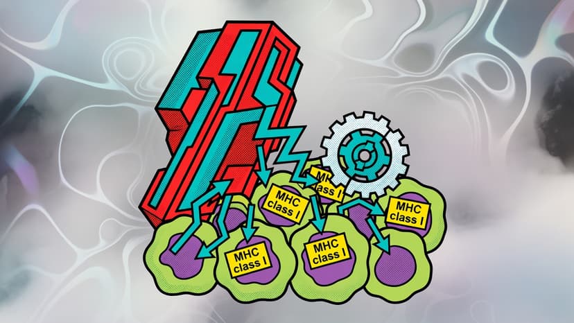 mRNA Rewrite Unmasks Prostate Tumors to Immune Attack